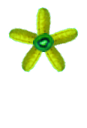 Asterisk